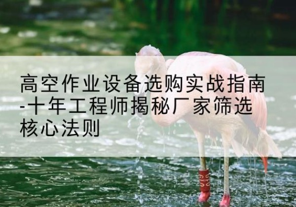 开平剪叉式升降机厂家-高空作业设备选购实战指南-十年工程师揭秘厂家筛选核心法则
